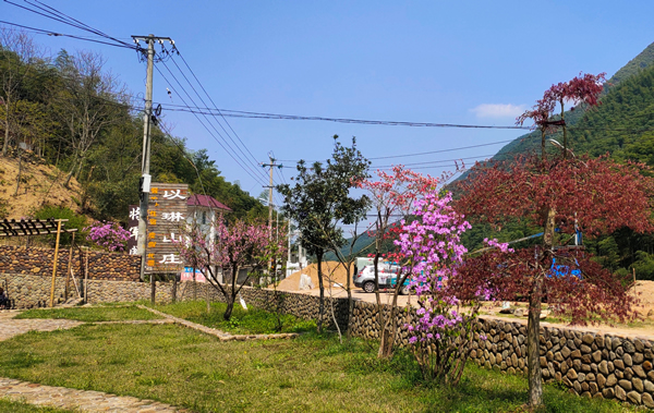 安吉以琳山庄的小花园