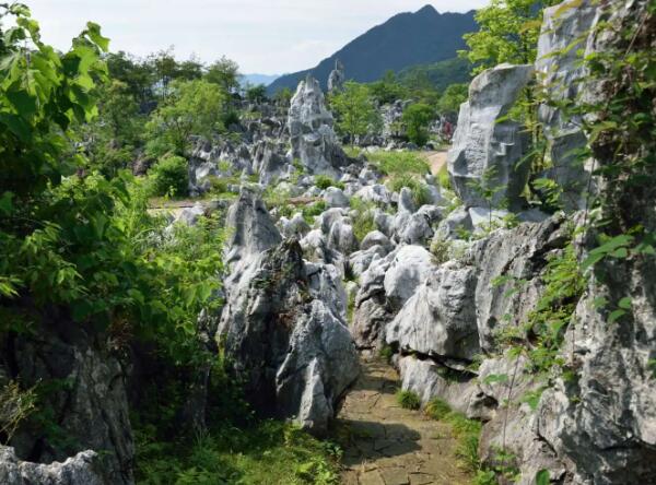 千岛湖石林奇景