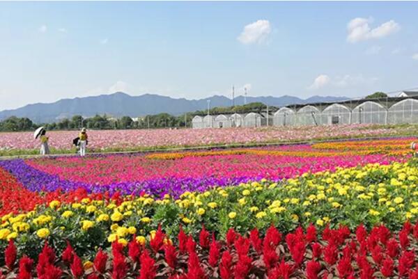 桐庐孝义荻浦村