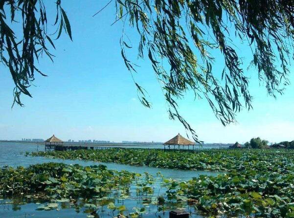 苏州阳澄湖莲花岛