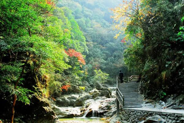 艾山国家森林公园生态环境