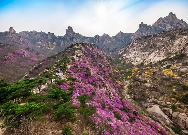 青岛大珠山美景