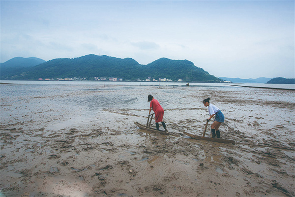 蟹钳港赶海体验