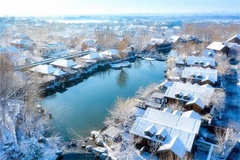 雪景