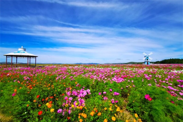 花卉观光园