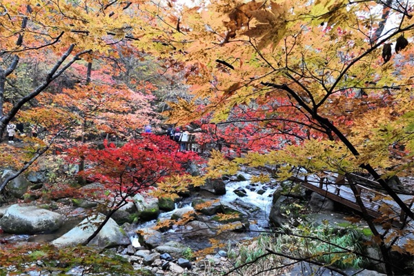 老边沟景区