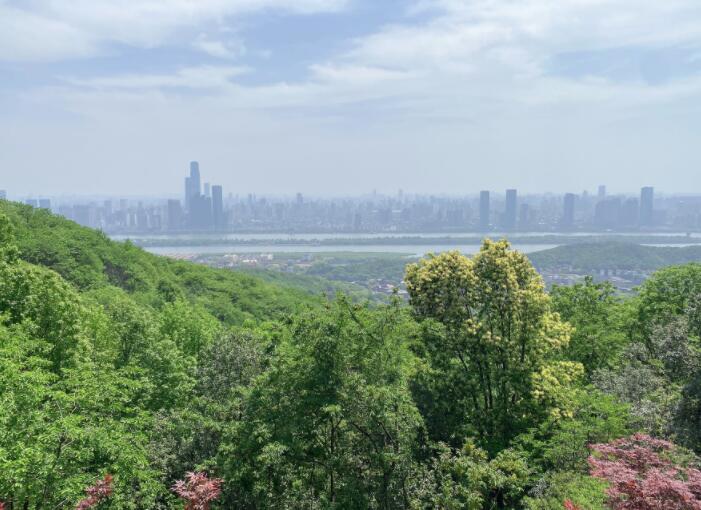 岳麓山山顶风景