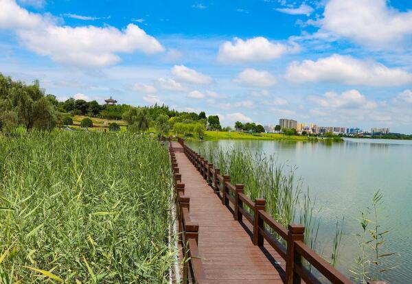 松雅湖湿地步道