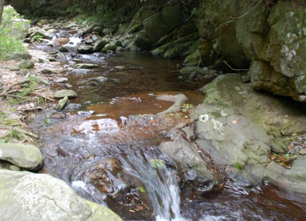 龙潭风景区溪水