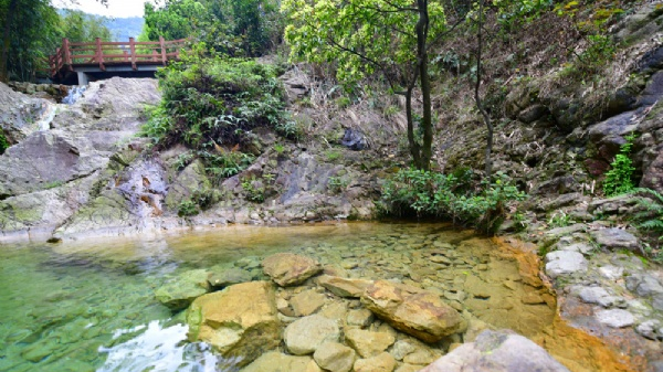 南海湾生态园美景