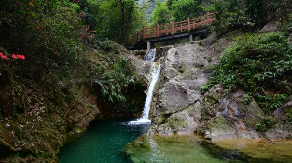 生态园中泉水