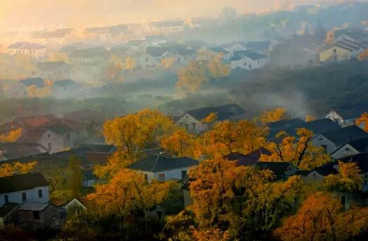 重阳秋景