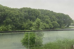 雨景