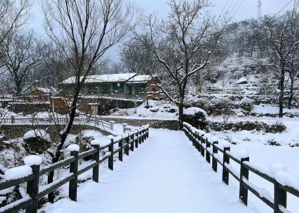 村庄雪景