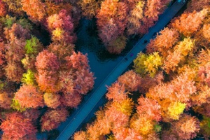 泛舟青山湖，邂逅一场红杉与湖光的浪漫