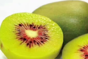 和平红阳猕猴桃